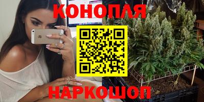 spice Кудымкар