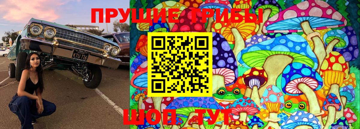Галлюциногенные грибы Psilocybine cubensis Иваново